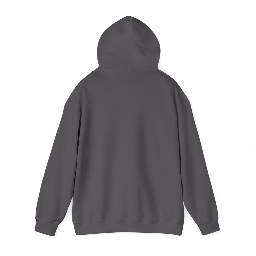 I'm not Gay, but Josh Allen is Josh Allen hoodie- Buffalo Bills Mafia