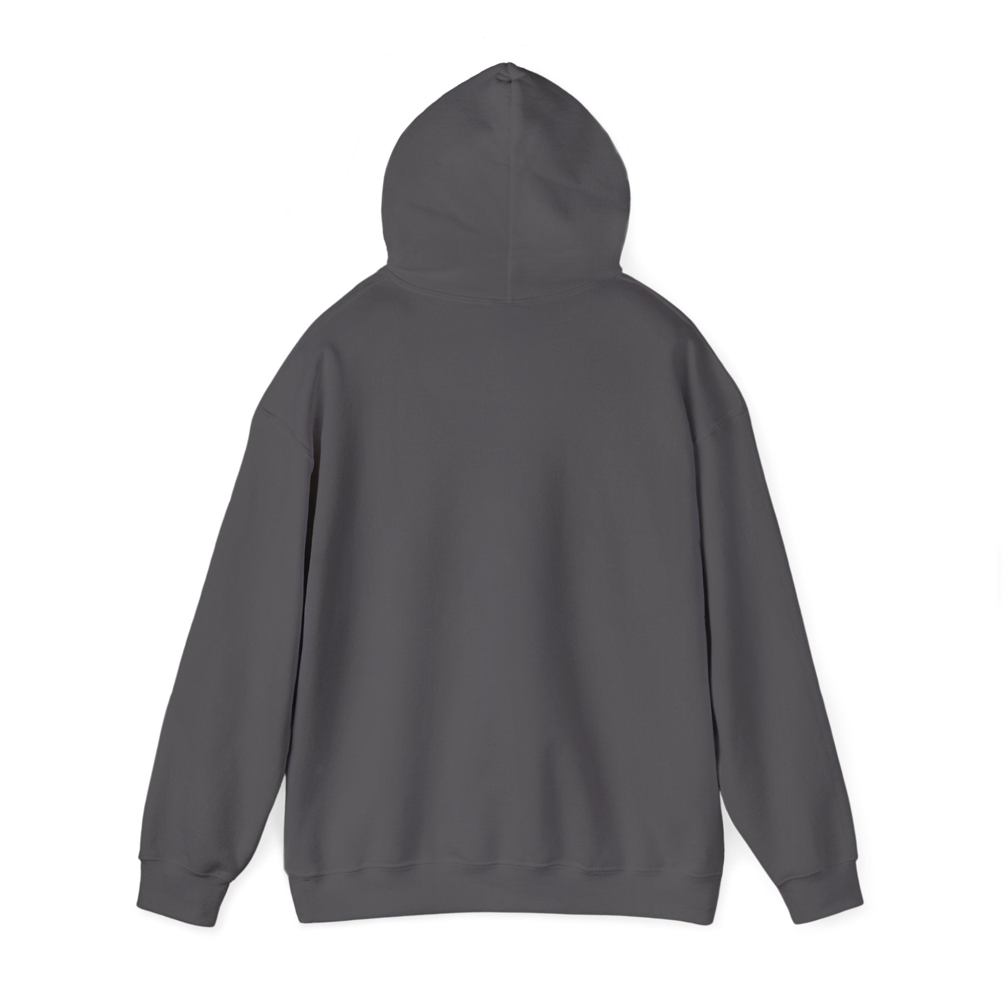 I'm not Gay, but Josh Allen is Josh Allen hoodie- Buffalo Bills Mafia