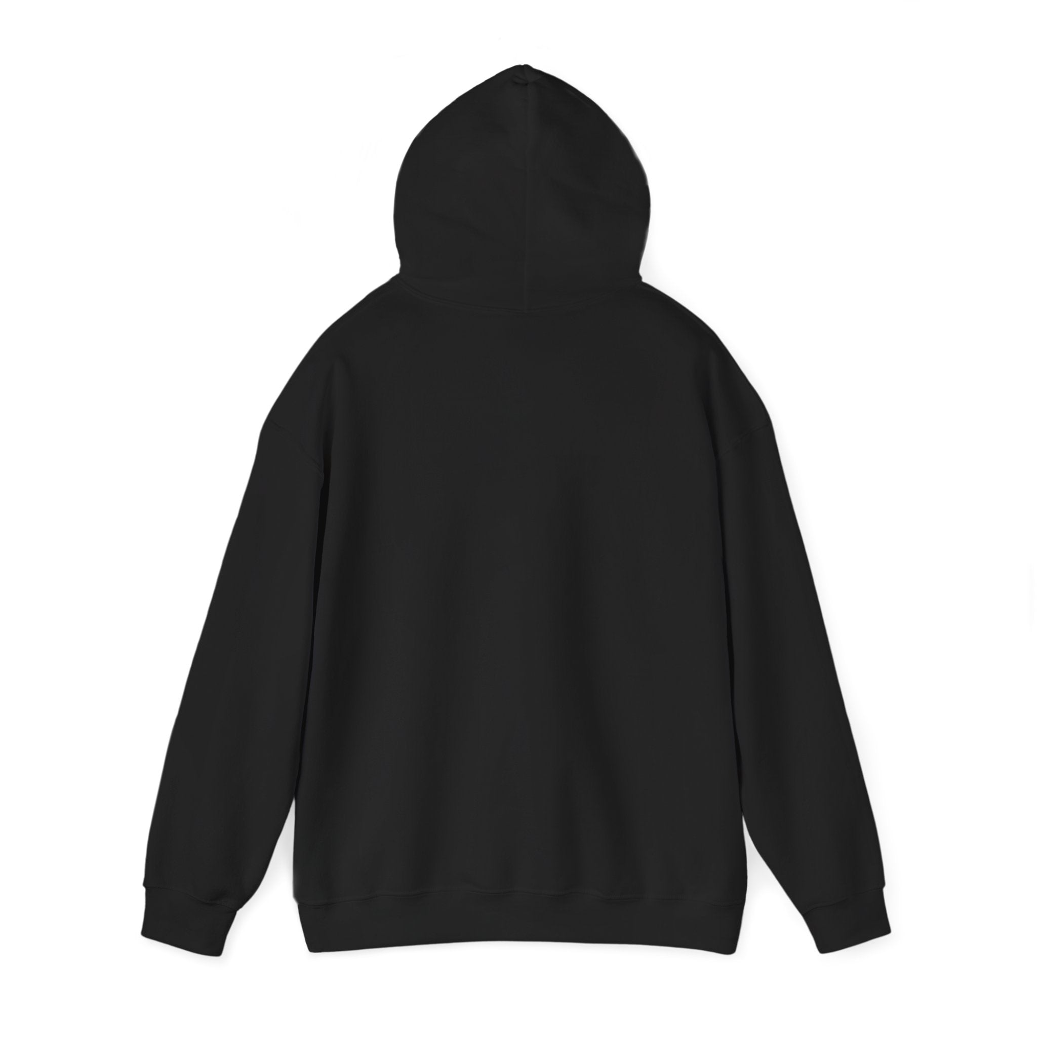 I'm not Gay, but Josh Allen is Josh Allen hoodie- Buffalo Bills Mafia