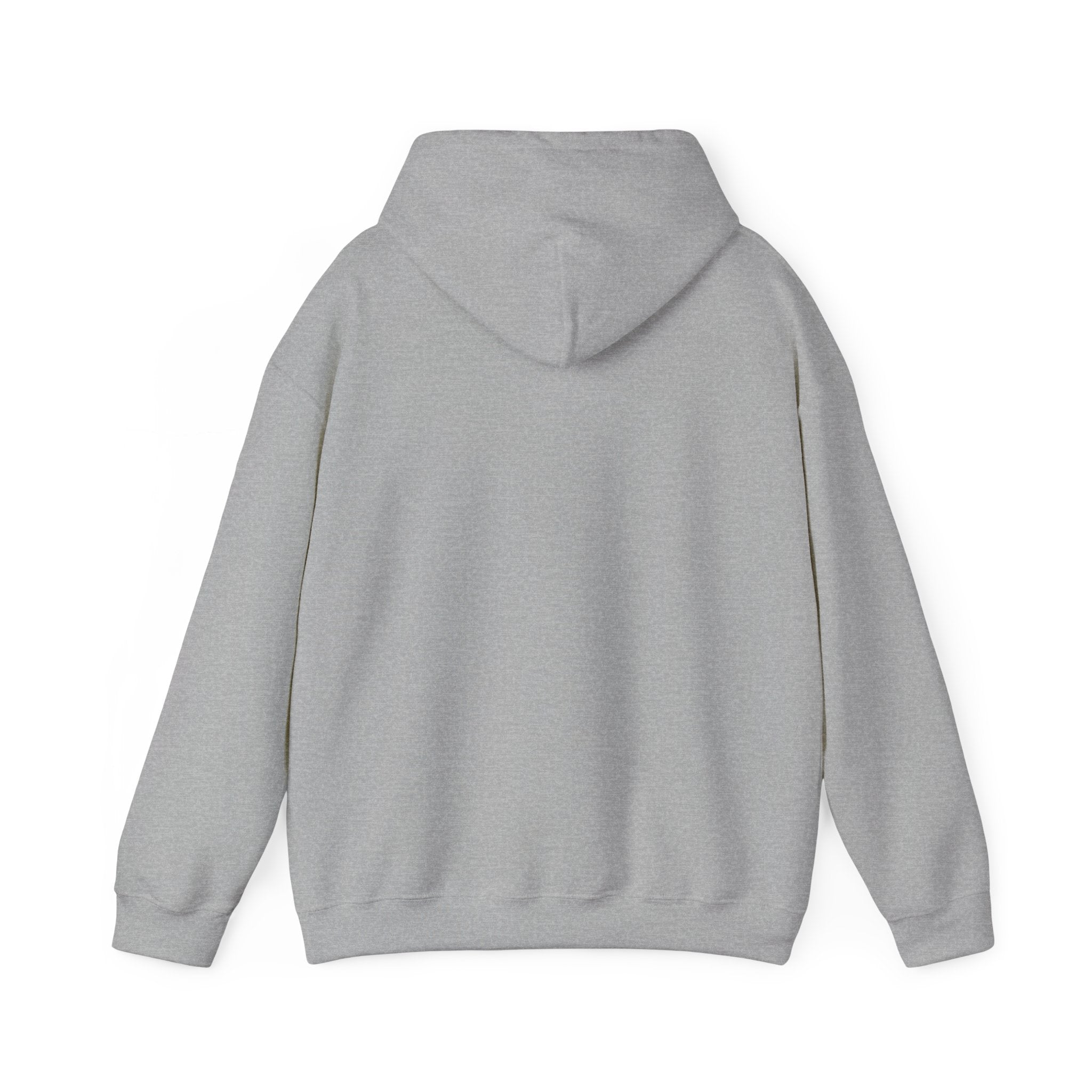 I'm not Gay, but Josh Allen is Josh Allen hoodie- Buffalo Bills Mafia
