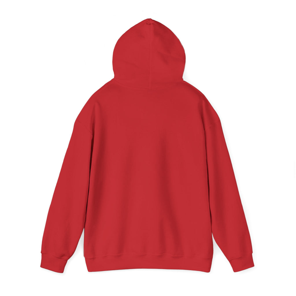 I'm not Gay, but Josh Allen is Josh Allen hoodie- Buffalo Bills Mafia