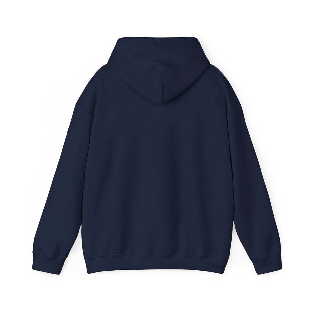 I'm not Gay, but Josh Allen is Josh Allen hoodie- Buffalo Bills Mafia