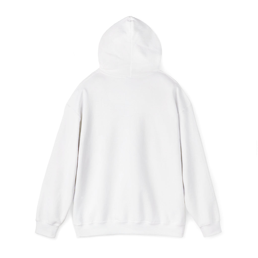 I'm not Gay, but Josh Allen is Josh Allen hoodie- Buffalo Bills Mafia