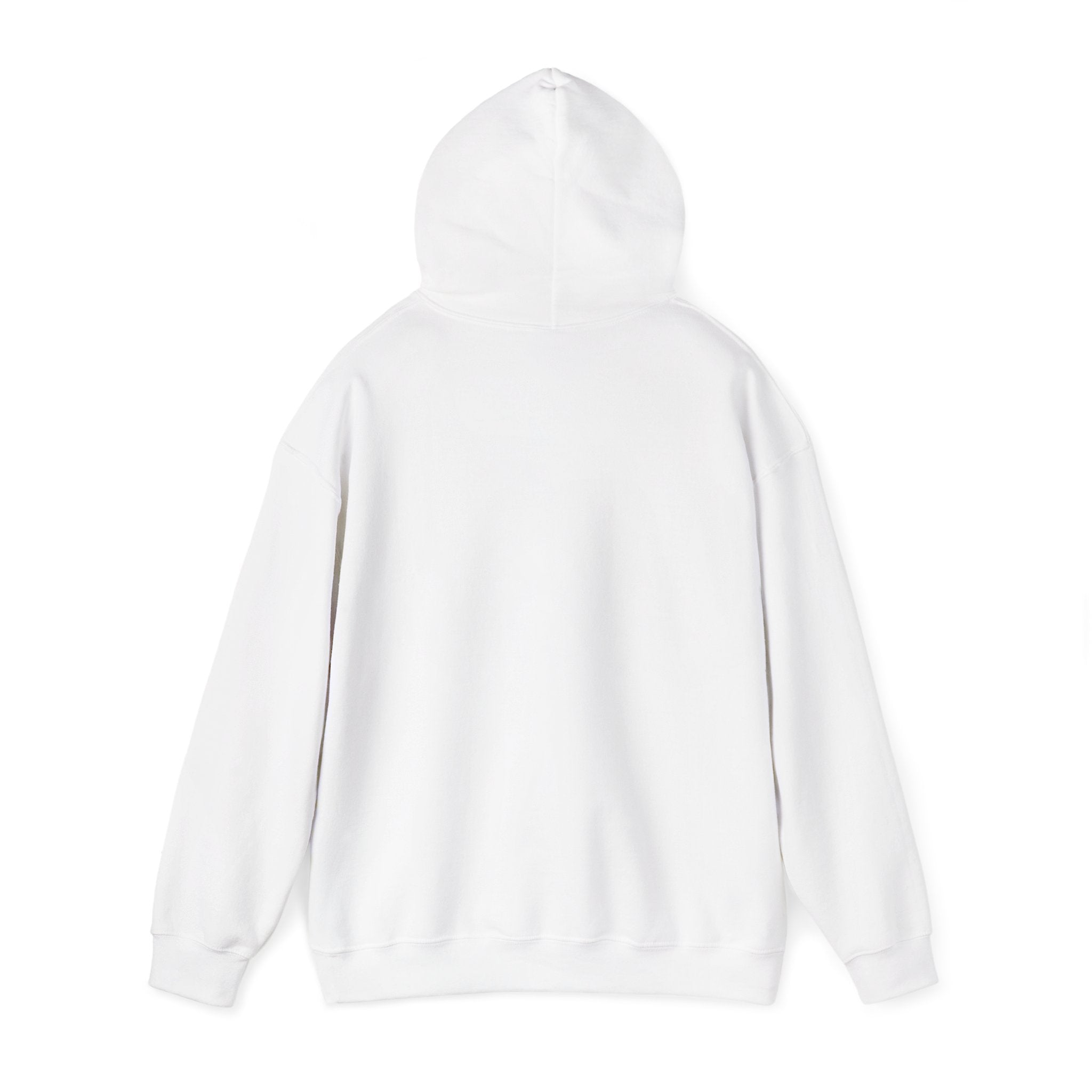 I'm not Gay, but Josh Allen is Josh Allen hoodie- Buffalo Bills Mafia