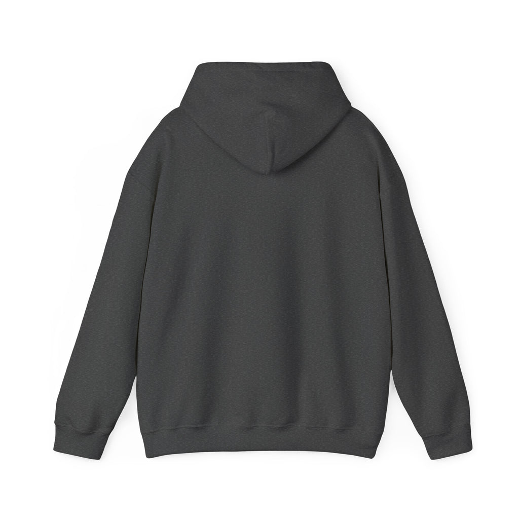 I'm not Gay, but Josh Allen is Josh Allen hoodie- Buffalo Bills Mafia