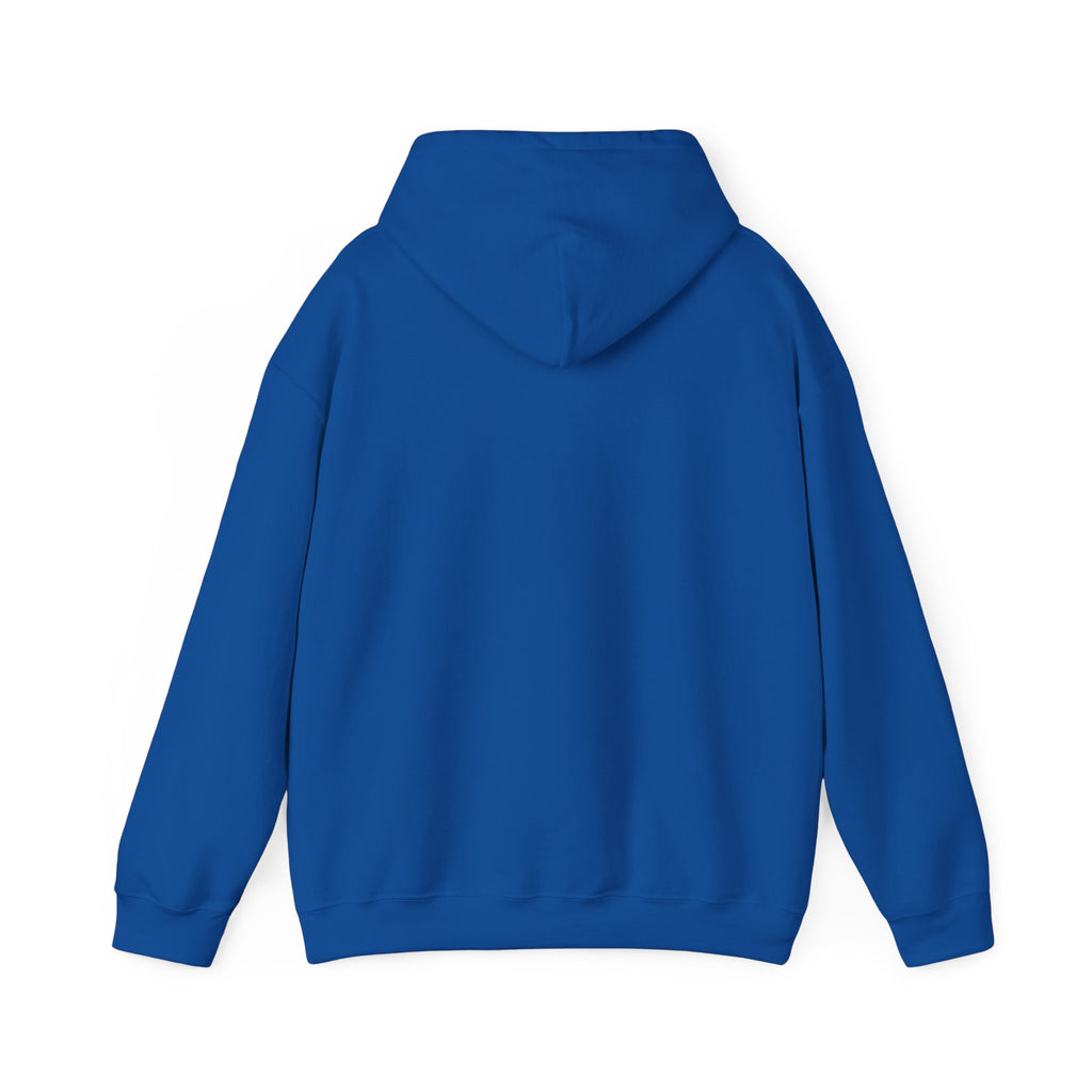I'm not Gay, but Josh Allen is Josh Allen hoodie- Buffalo Bills Mafia