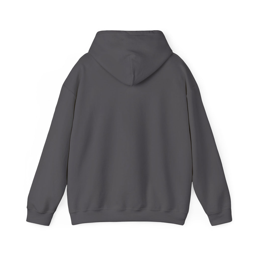 I'm not Gay, but Josh Allen is Josh Allen hoodie- Buffalo Bills Mafia