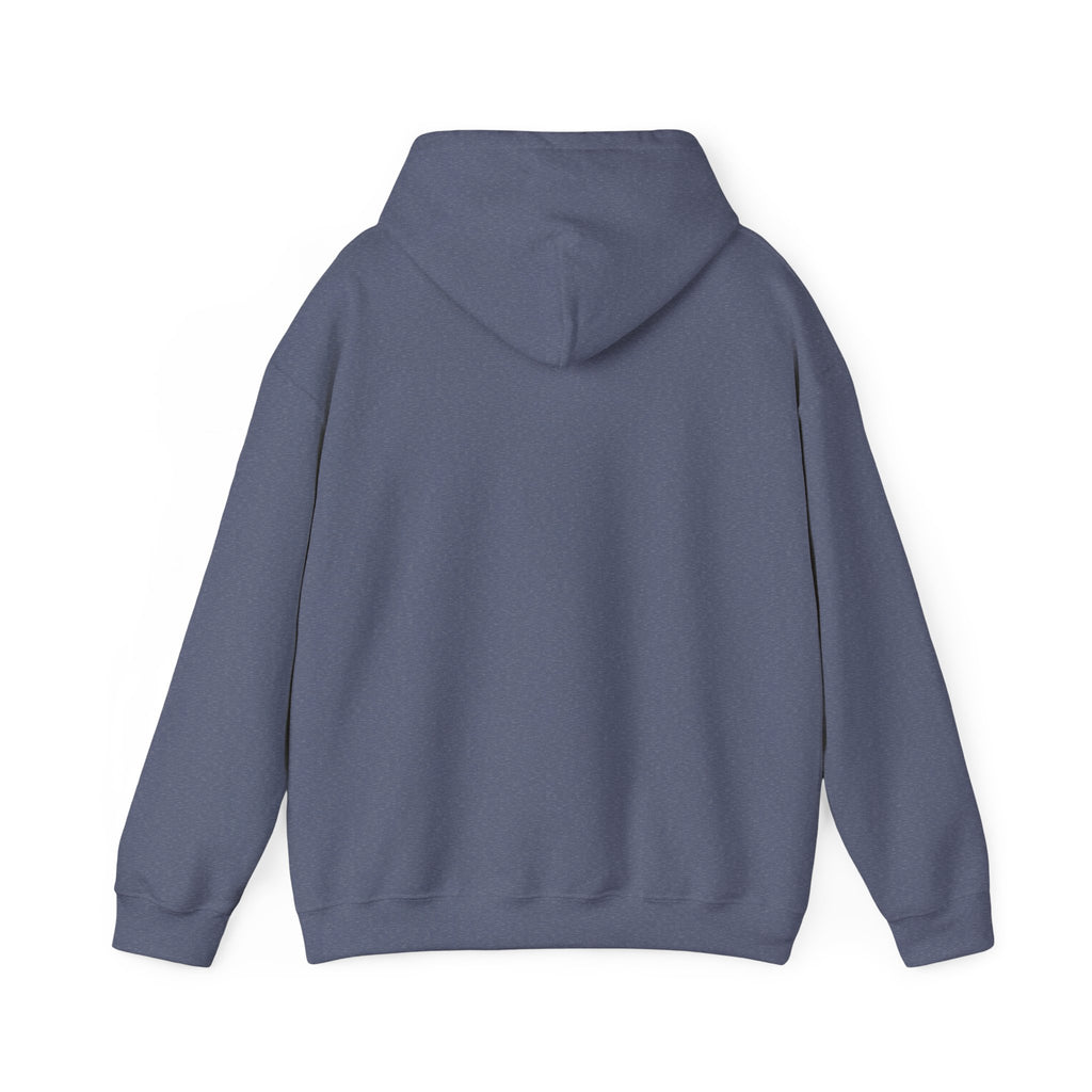 I'm not Gay, but Josh Allen is Josh Allen hoodie- Buffalo Bills Mafia