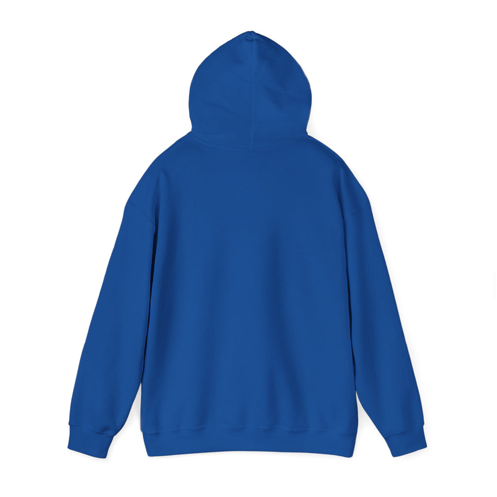 I'm not Gay, but Josh Allen is Josh Allen hoodie- Buffalo Bills Mafia