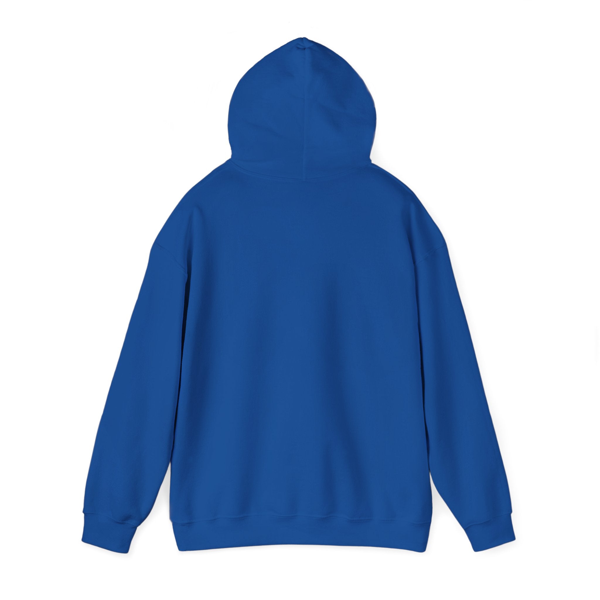 I'm not Gay, but Josh Allen is Josh Allen hoodie- Buffalo Bills Mafia