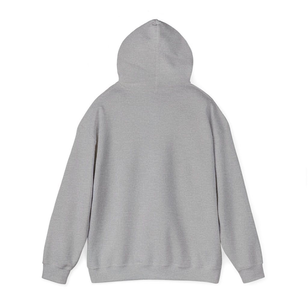 I'm not Gay, but Josh Allen is Josh Allen hoodie- Buffalo Bills Mafia