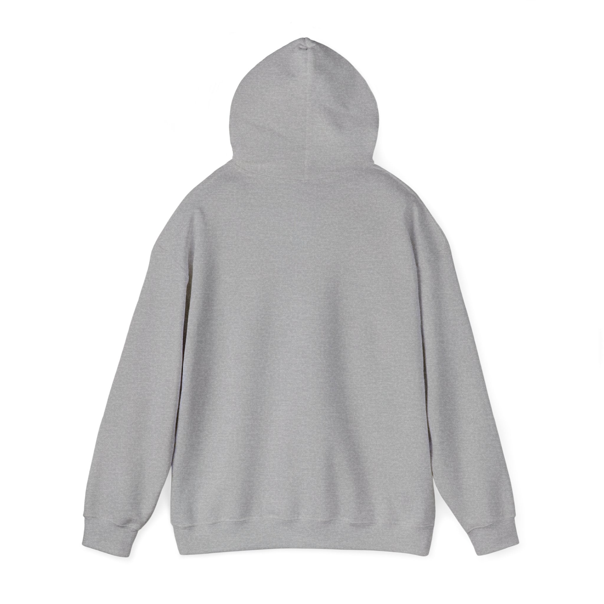 I'm not Gay, but Josh Allen is Josh Allen hoodie- Buffalo Bills Mafia