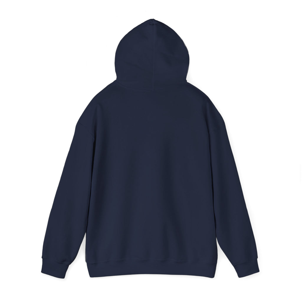 I'm not Gay, but Josh Allen is Josh Allen hoodie- Buffalo Bills Mafia