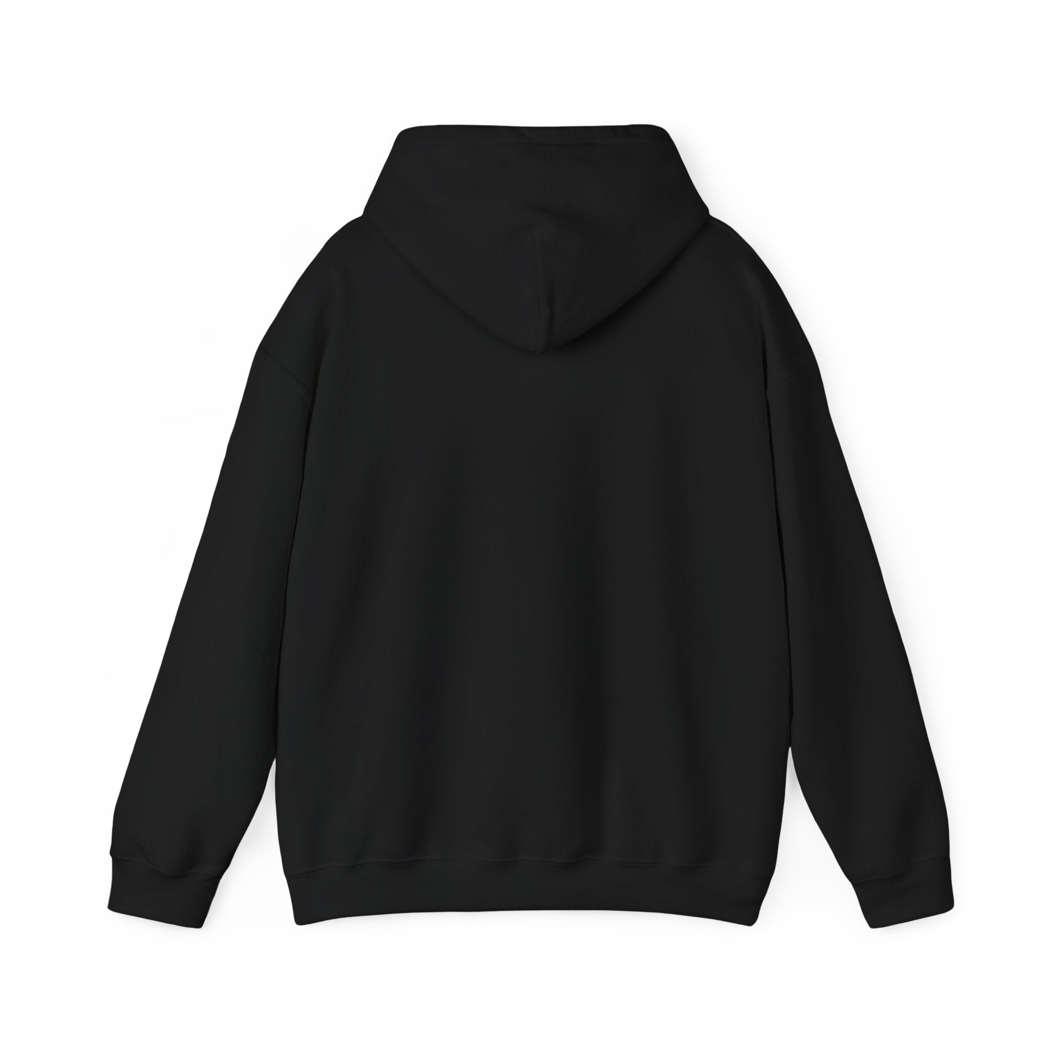 I'm not Gay, but Josh Allen is Josh Allen hoodie- Buffalo Bills Mafia