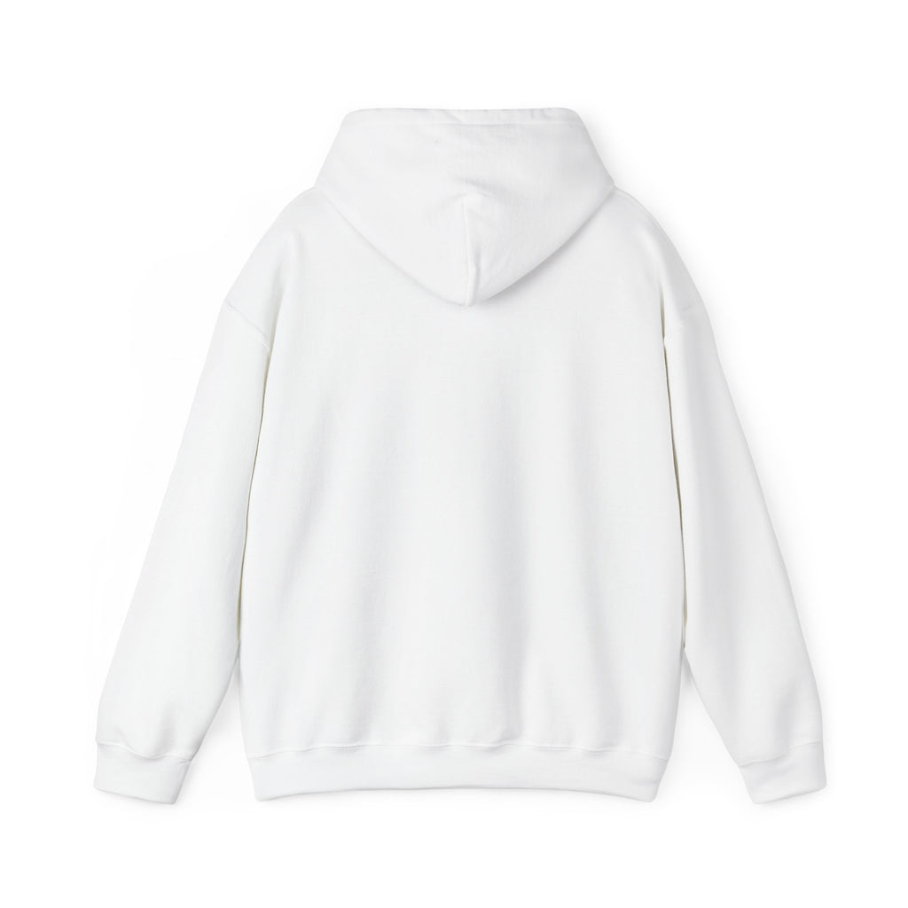 I'm not Gay, but Josh Allen is Josh Allen hoodie- Buffalo Bills Mafia