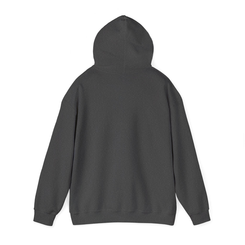 I'm not Gay, but Josh Allen is Josh Allen hoodie- Buffalo Bills Mafia