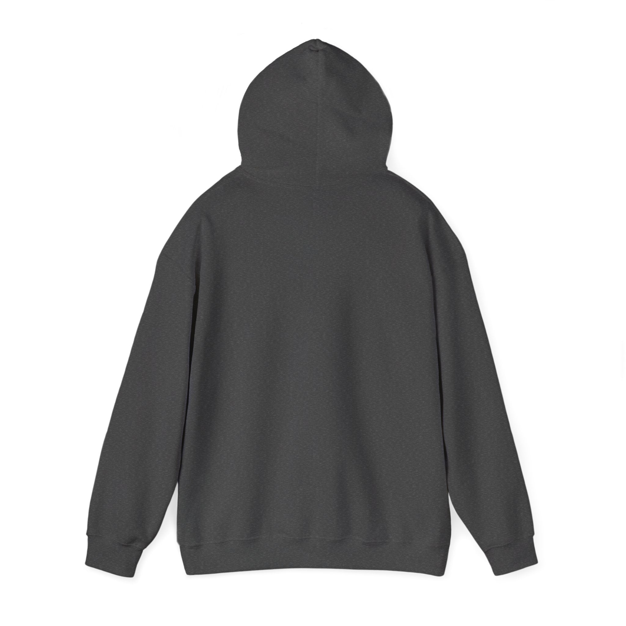 I'm not Gay, but Josh Allen is Josh Allen hoodie- Buffalo Bills Mafia