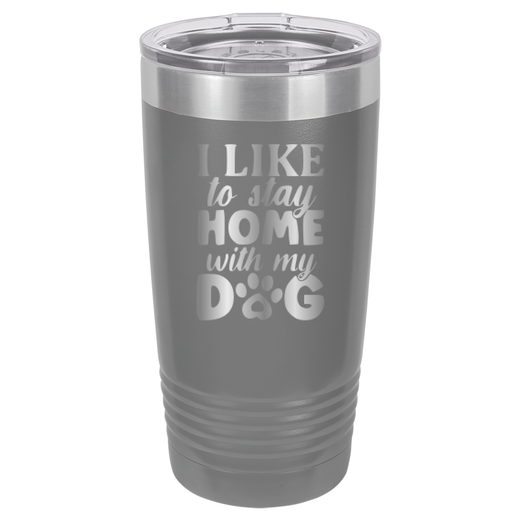 I Like To Stay Home With My Dog - 20oz Polar Camel Tumbler - Gray image
